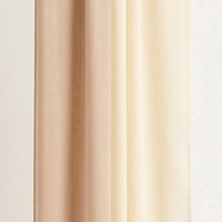 Champagne + Ivory