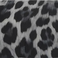 Snow Leopard