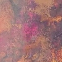 Sunset Coral