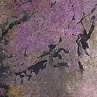 Lavender Gold