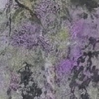 Moss Lilac