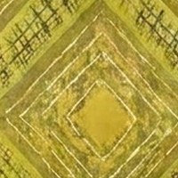 Chartreuse Diamond
