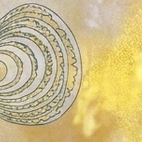 Golden Ripple