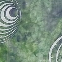 Forest Ripple