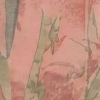 Blush Palm