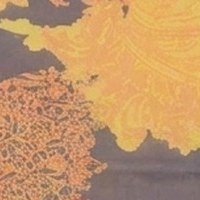 Amber Paisley