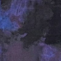 Midnight Bloom